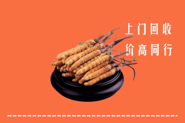 高价求购：佛冈县回收散虫草