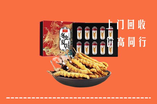 佛冈县回收虫草